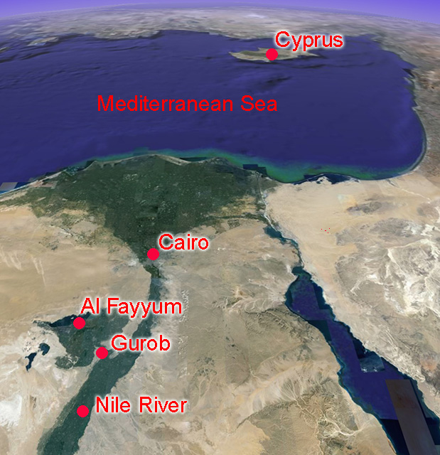 satellite view of Gurob's location