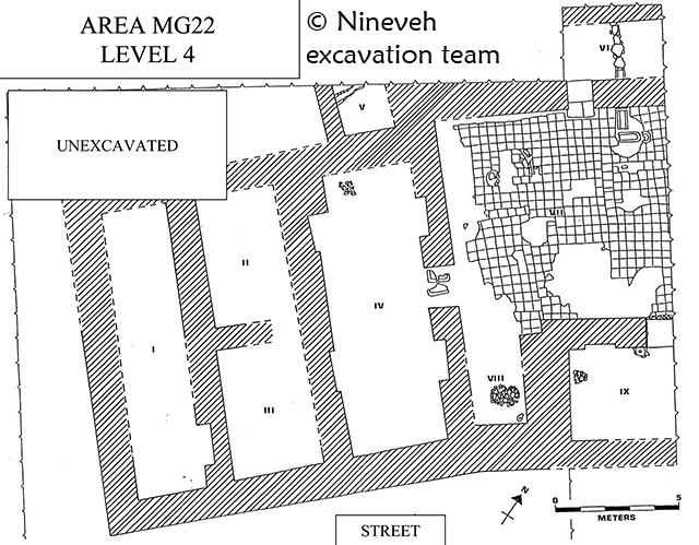 plan of MG22