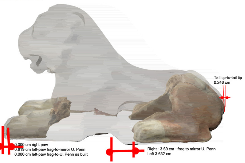 3D model overlays to compare the two lions